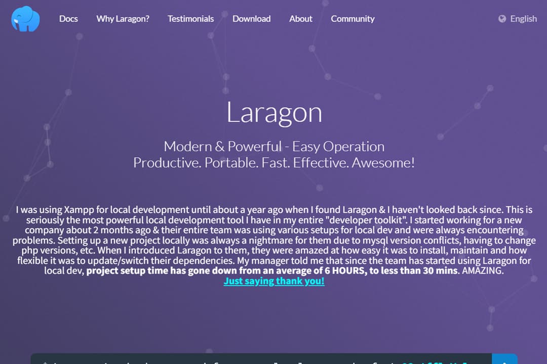 Laragon Paid?