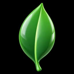 MongoDB